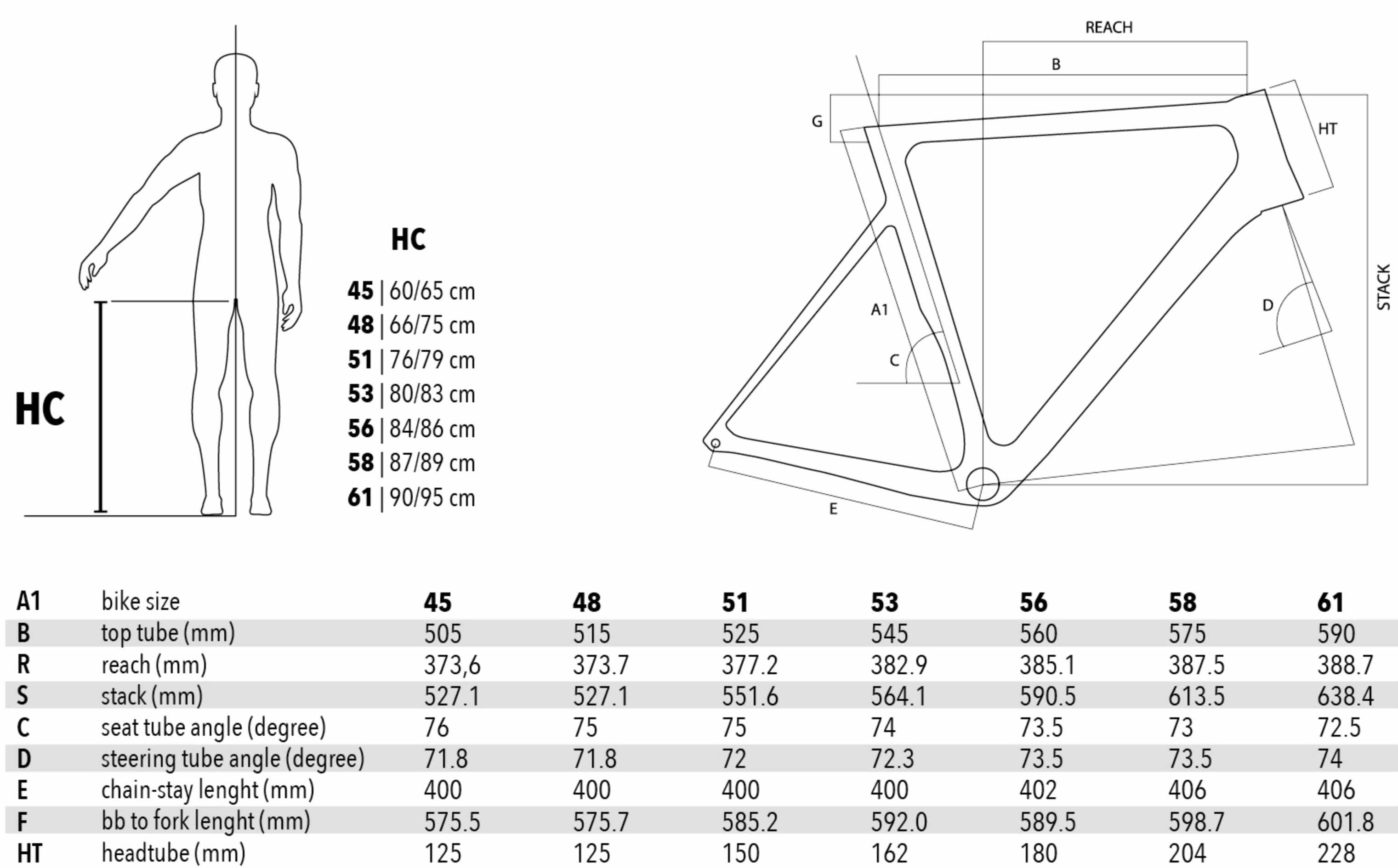 basso size chart