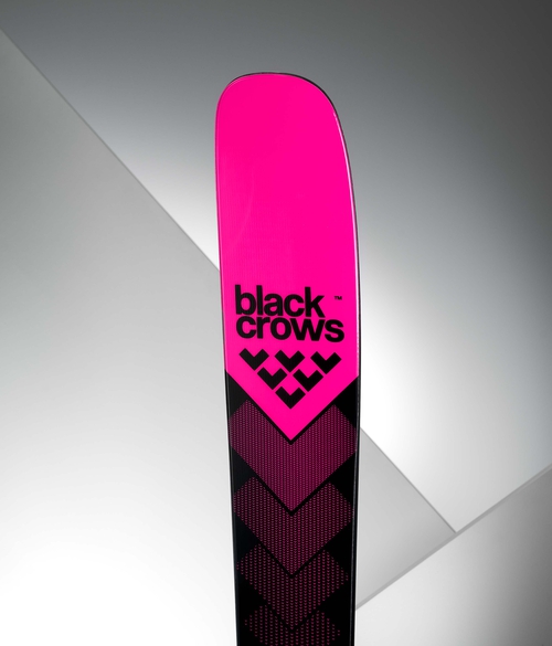 Black Crows Corvus