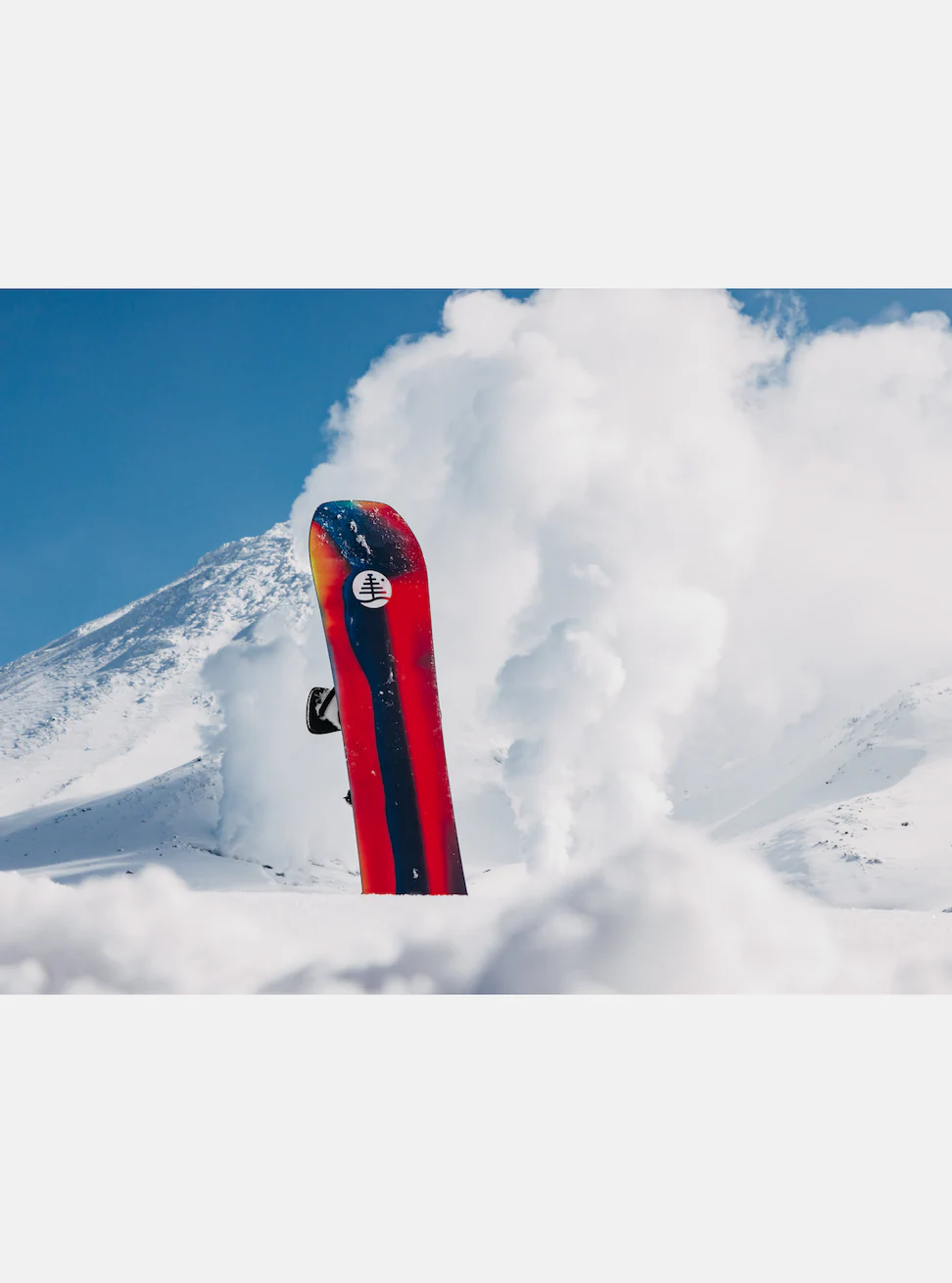 Burton Tree Hometown Hero