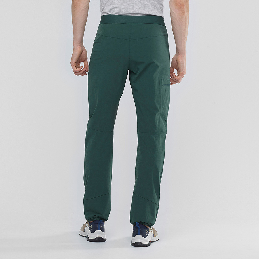 salomon wayfarer alpine pant